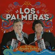 Los Palmeras Perra