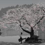 Most Beautiful Music Sakura By Bob Bradley Thomas Balmforth