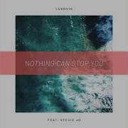 Nothing Can Stop You Feat Stevie Jo Luedvig