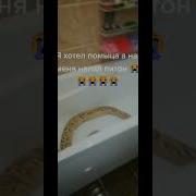 Щас Помоюсь Я