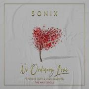 Sonix No Ordinary Love