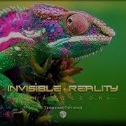 Chameleon Invisible Reality