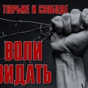 Хулиган Шансон Век Воли Невидать