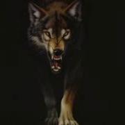 Fast Furious Ringtone Wolf Music