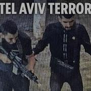 Terrorists