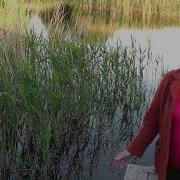 Прости Что Устала В Мечтах Я Летала