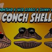 Machel Montano Conch Shell