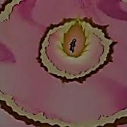 Goku Ssj 3 Edit Menace Sione Slowed Void