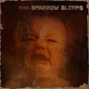 Rum Is For Drinking Not For Burning Sparrow Sleeps