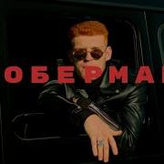 Скачать Песню Доберман