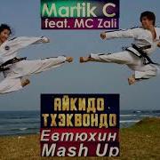 Martik C Feat Mc Zali Айкидо Тхэквондо Евтюхин Mash Up