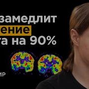 Нейробиолог Как Не Отупеть К 50 Годам Связь Слабоумия И Привычек Владимир Алипов