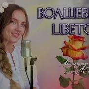 Роот Волшебный Цветок Весны