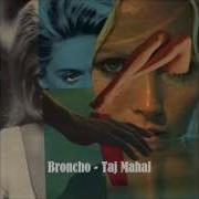 Taj Mahal Broncho