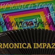 Fisarmonica Impazzita Liscio Per Fisarmonica Accordion Playlist