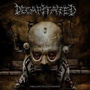 Decapitated Invisible Control