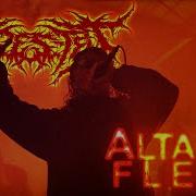 Ingested Altar Of Flesh
