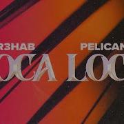 Loca Loca Pelican