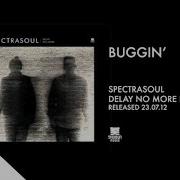 Spectrasoul Buggin