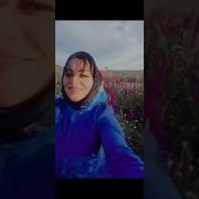 Красота Новая Песня Патимат Ибрагимова