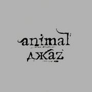 Гиена Animal Джаz