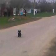Кум И Кума Сошли С Ума