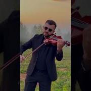 Великолепный Век Скрипка Ибрагима