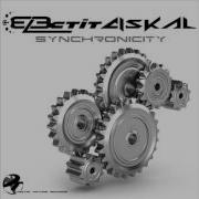 Synchronicity Electit Dizkal