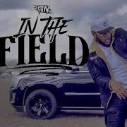 Fayn In The Field