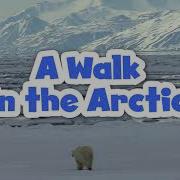 Walk In The Cold