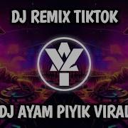 Dj Tik Tok Anak Ayam Snc Remix