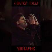 Сектор Газа Чинарик