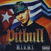 Get On The Floor Pitbull Oobie