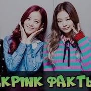 Blackpink Интересные Факты Биография K Pop Группа Black Pink