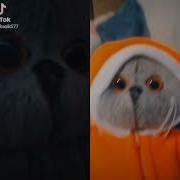Тут Есть Радио Туц Туц Туц