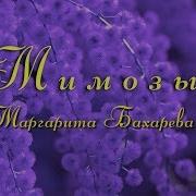 Премьера Песни Мимозы Маргарита Бахарева