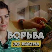 У Меня Умерла Дочь