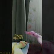 Привет Пцпсик