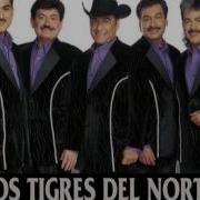 La Neta De Las Netas Los Tigres Del Norte Album Directo Al Corazon Año 2005 Tigre Jezga