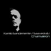 Kamilo Sanclemente Chamaleon