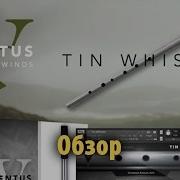 Ventus Ethnic Winds Tin Whistle Краткий Обзор Folk Ethnic Vst Плагины