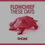 Flowchief These Days