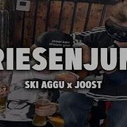 Ski Aggu X Joost Friesenjung Lyrics