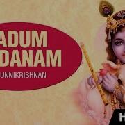 Aadum Nadanam P Unnikrishnan