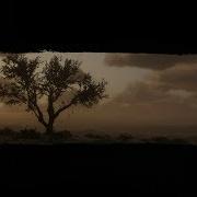 Red Dead Redemption 2 Ambient Music Ambience Title Menue Rdr2