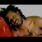 Bebe Cool Agenze Bebe Cool