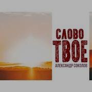Слово Твоё Александр Соколов