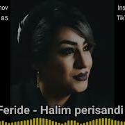 Feride Halim Perisandi