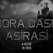 Audio Kitob Qora Qasr Asirasi 16 Trek 4 Kitob Habib Temirov