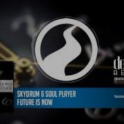 Skydrum Future Is Now